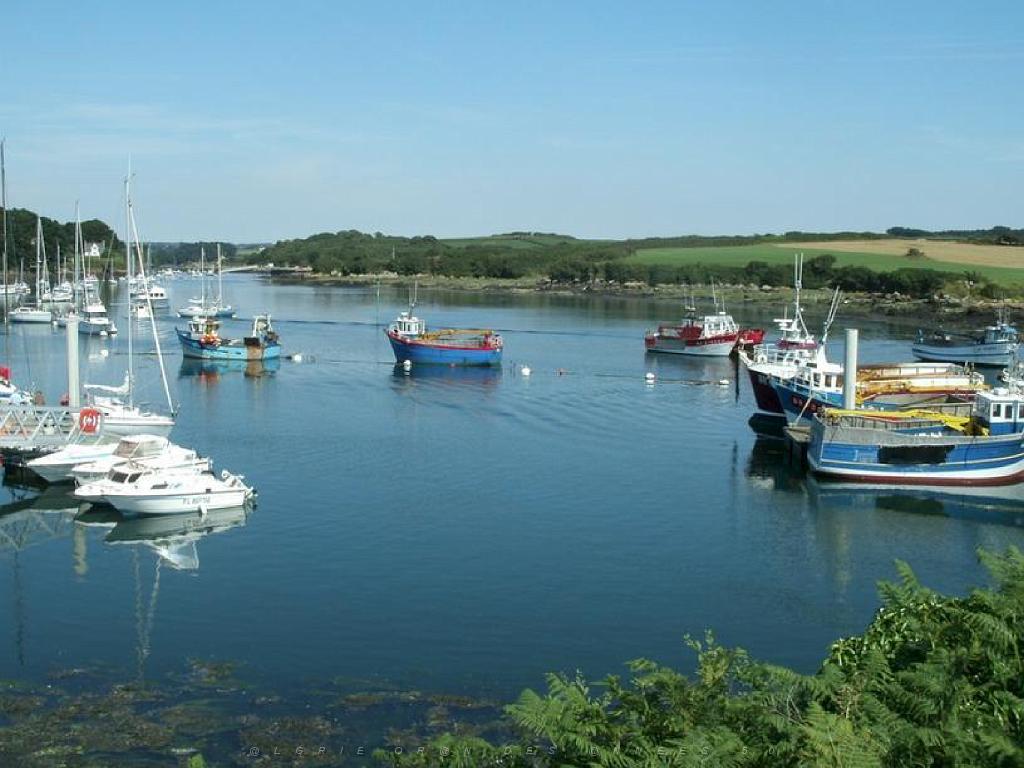129 ILE DE MOLENE_000007.jpg